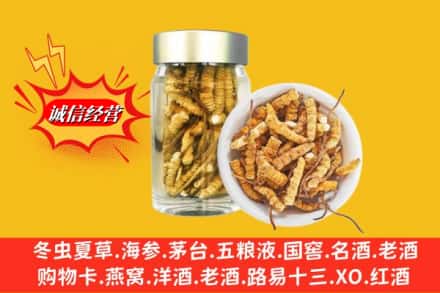 西昌市回收散虫草